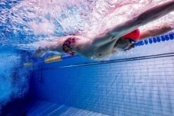 Funky Trunks Predator Party Mens Classic Trunks