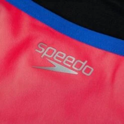 Speedo Womens Eco Solid VBack -Best Swimwear Store swimwear shack 8 12843h217 8